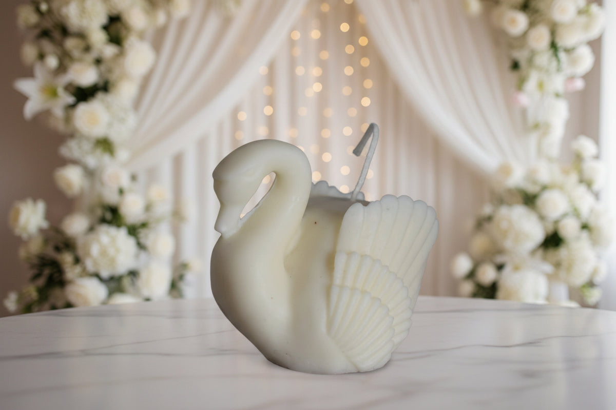 Vela Cisne