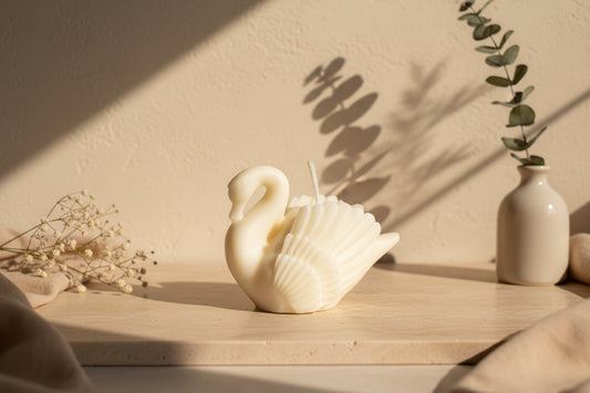 Vela Cisne
